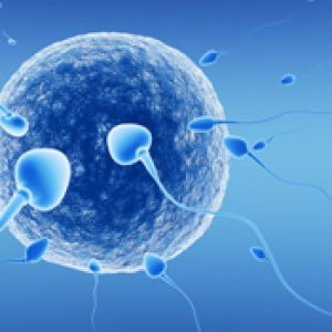 Sperm Donation Therapy