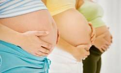 Medical IVF Dictionary
